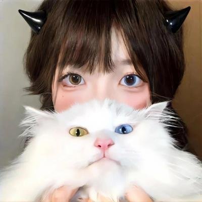 366日 在线观看